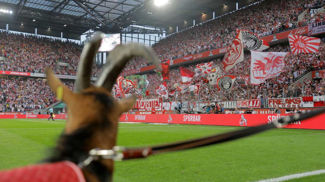 Emotionen gegen Dortmund – Hennes IX. verliert Debüt