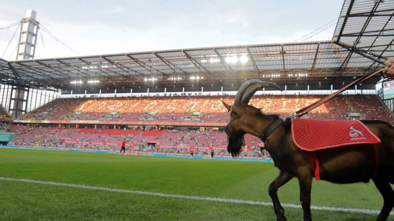 Spieltage 7 bis 13 terminiert: FC sonntags in Düsseldorf