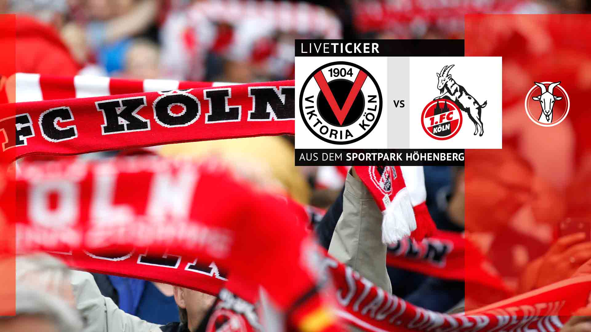 Liveticker Der FC testet im Stadtduell gegen Viktoria Köln