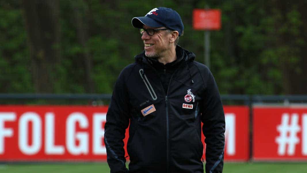 Stöger dementiert FC-Angebot als Trainer oder Sportchef