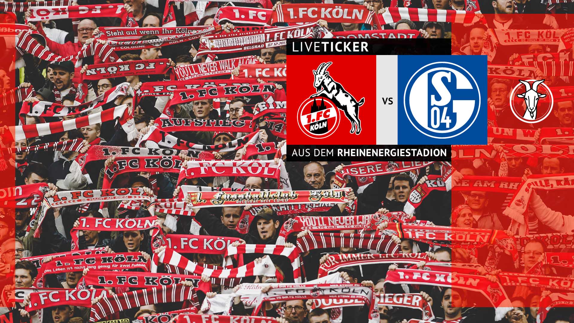 Liveticker: Der FC empfängt Schalke 04 zum Topspiel