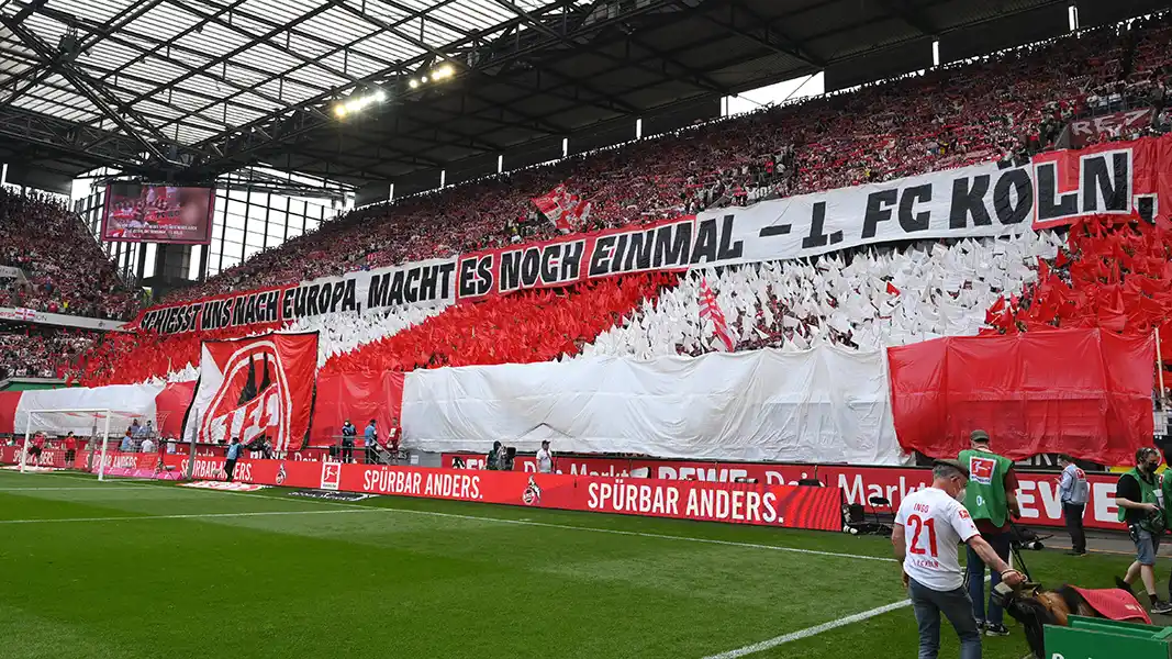 Der 1. FC Köln ist zurück auf europäischer Bühne. (Foto: IMAGO / Team 2)