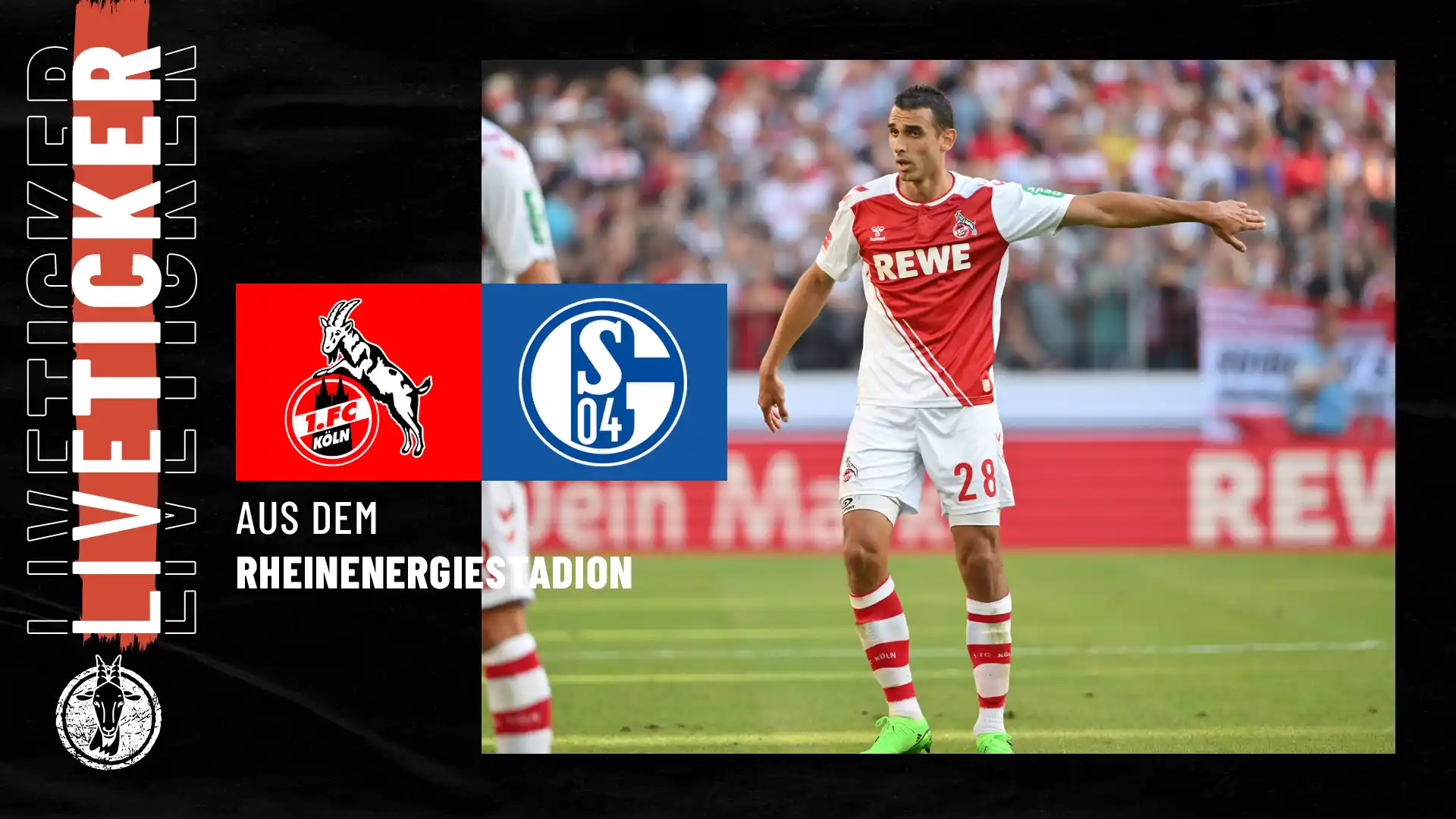 1 Fc Köln Liveticker Gegen Den Fc Schalke 04 Geissblog 