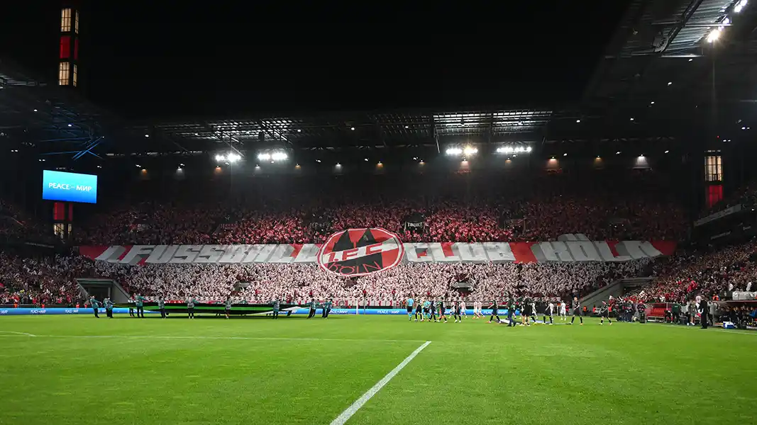 “Affengeil!” Fans zeigen Europa die schönste Seite des 1. FC Köln
