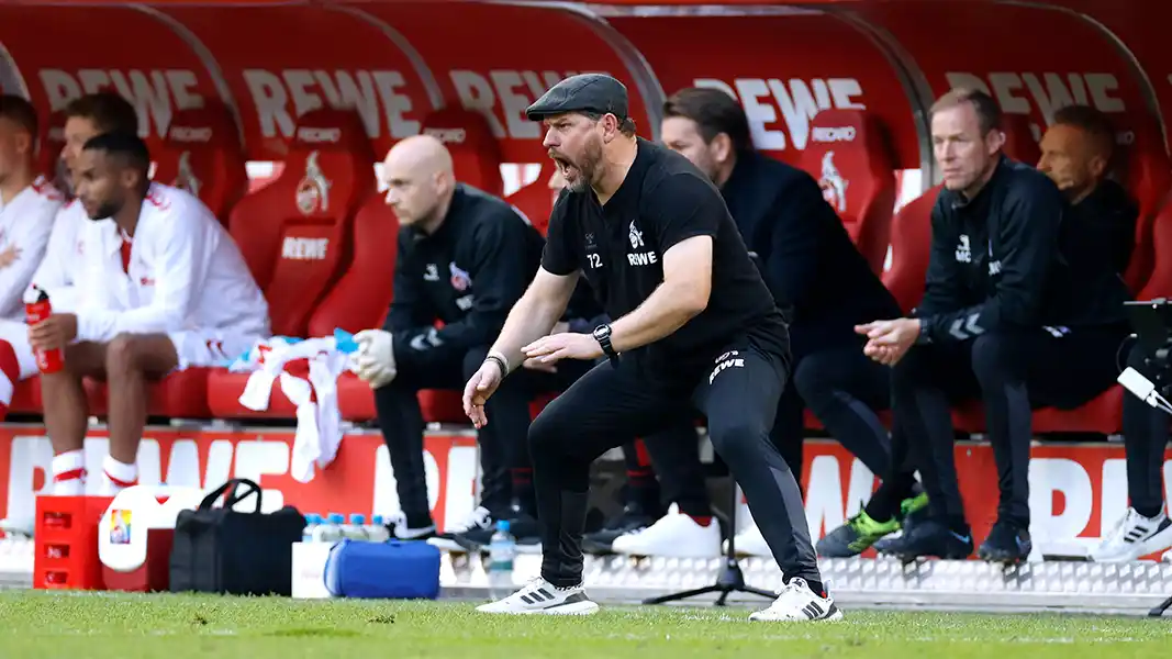 Steffen Baumgart während des Spiels gegen den BVB. (Foto: IMAGO)