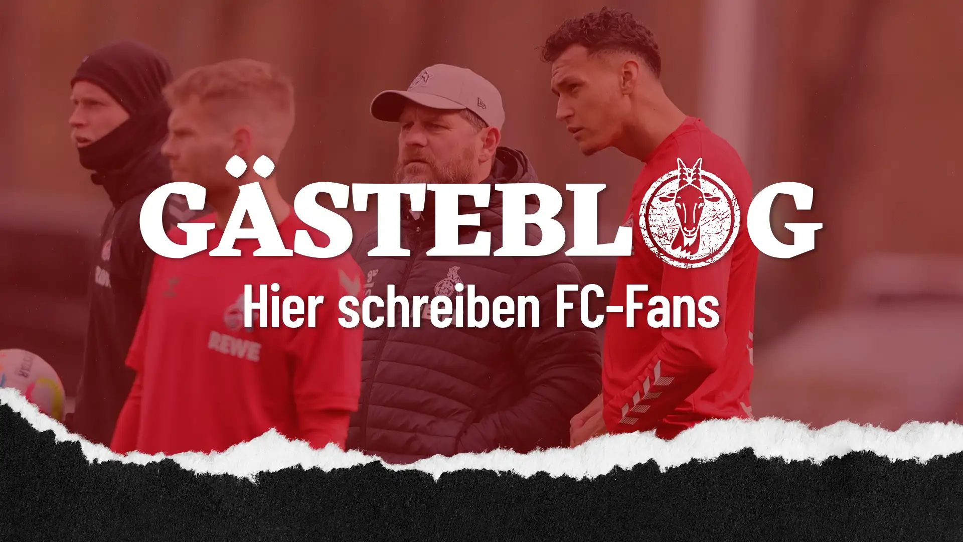 Beim "GÄSTEBLOG" können die FC-Fans ihre Meinung zur aktuellen Situation beim 1. FC Köln äußern. (Foto: Bucco)