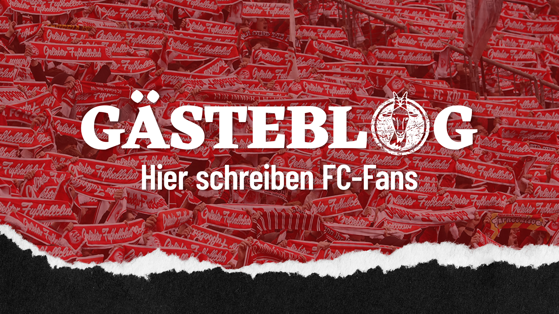 Im "GÄSTEBLOG" haben die FC-Fans die Möglichkeit, ihre Meinung zur aktuellen Situation beim 1. FC Köln kundzutun. (Foto: Bucco)