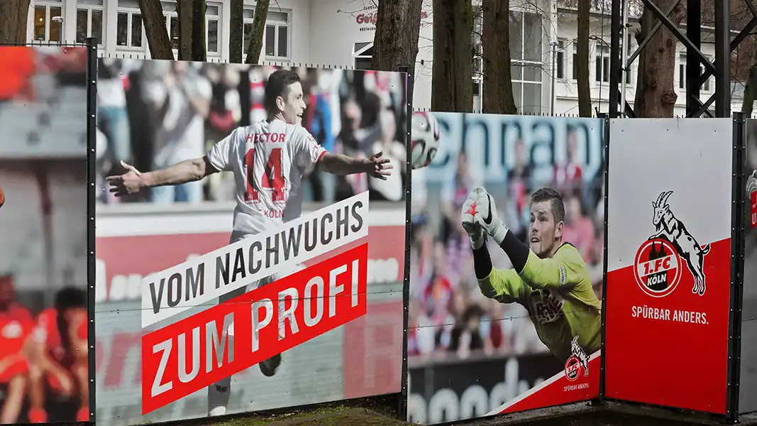 Jonas Hector und Timo Horn sind die Gesicht des 1. FC Köln. (Foto: Bucco)
