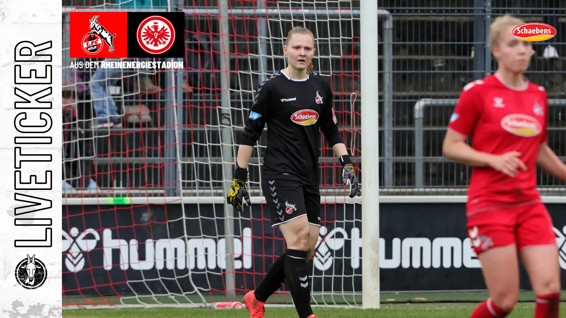 1 Fc Köln Liveticker Vom Rekordspiel Der Frauen Geissblog 