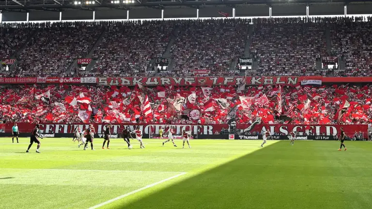 Danke, 1. FC Köln!