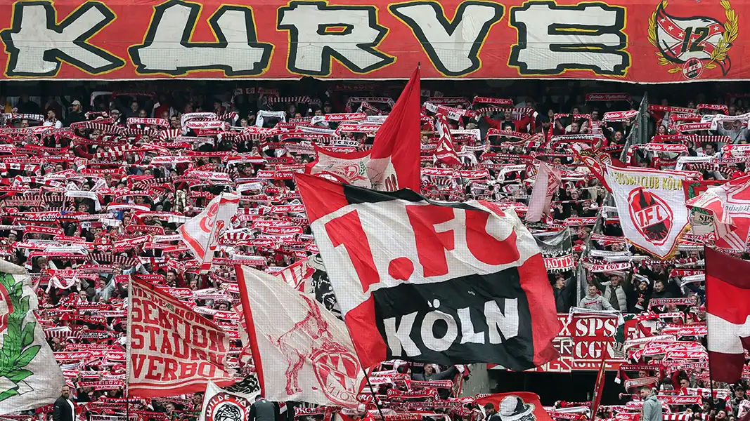 Die Fans des 1. FC Köln freuen sich auf die neue Saison. (Foto: Bucco)
