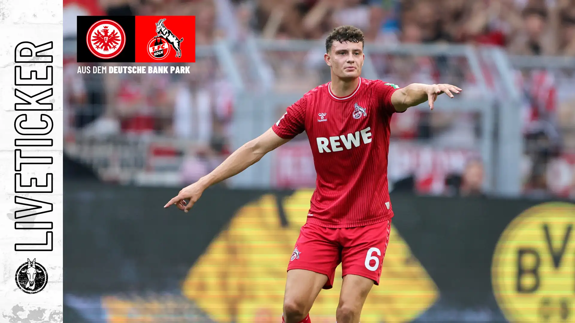 1. FC Köln: Liveticker Gegen Eintracht Frankfurt - GEISSBLOG