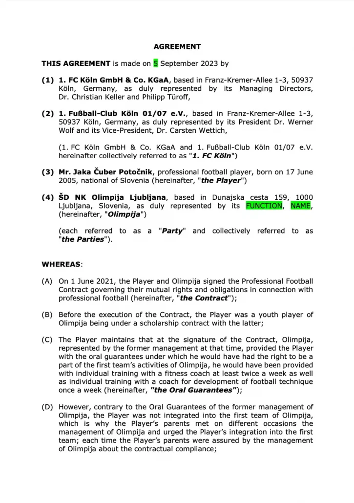 Seite 1 des englischsprachigen Vertrags, der nicht unterschrieben wurde. (Foto: privat)