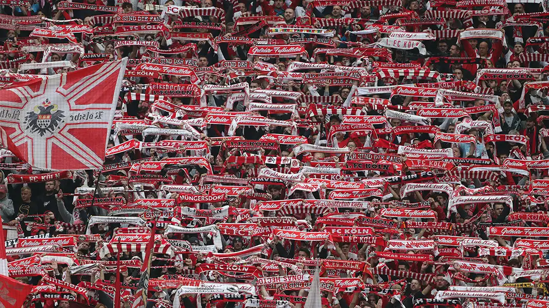Der 1. FC Köln legt sich mit der DFL an. (Foto: Bucco)