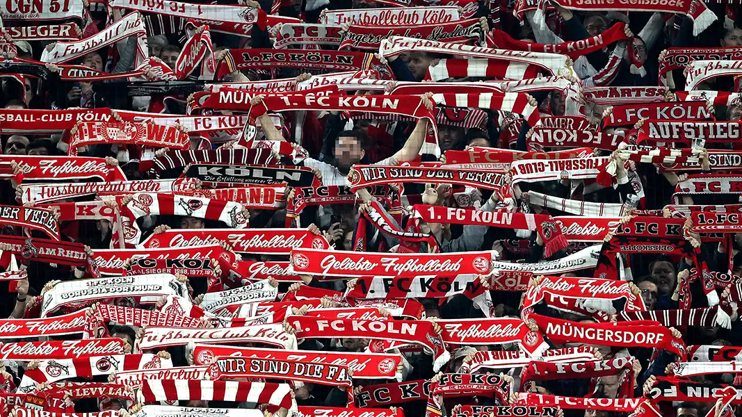 Der große FanQ-Ligavergleich: Wie beurteilt Ihr den 1. FC Köln?