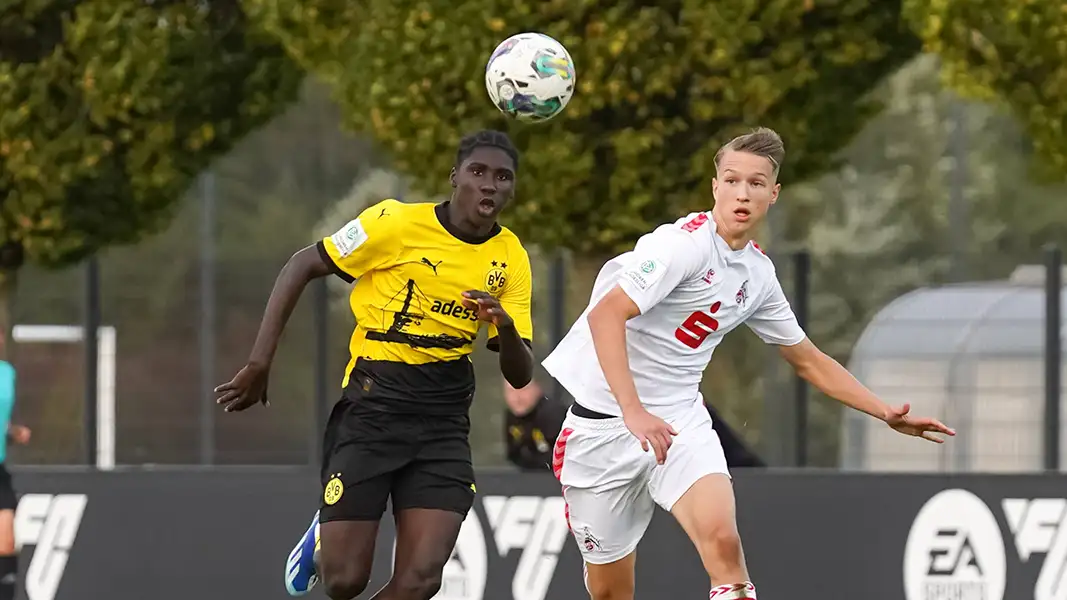 Viktor Schmolling im Einsatz: Die U17 des 1. FC Köln empfängt Borussia Dortmund. (Foto: IMAGO / Patrick Ahlborn)