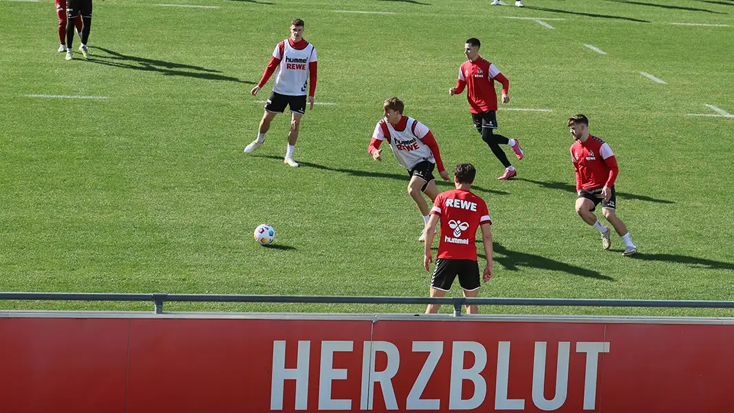 Die Profis des 1. FC Köln legen am Montag wieder los. (Foto: Bucco)