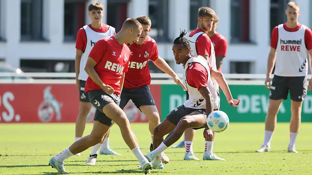 Tim Lemperle im Training gegen Damion Downs. (Foto: Bucco)