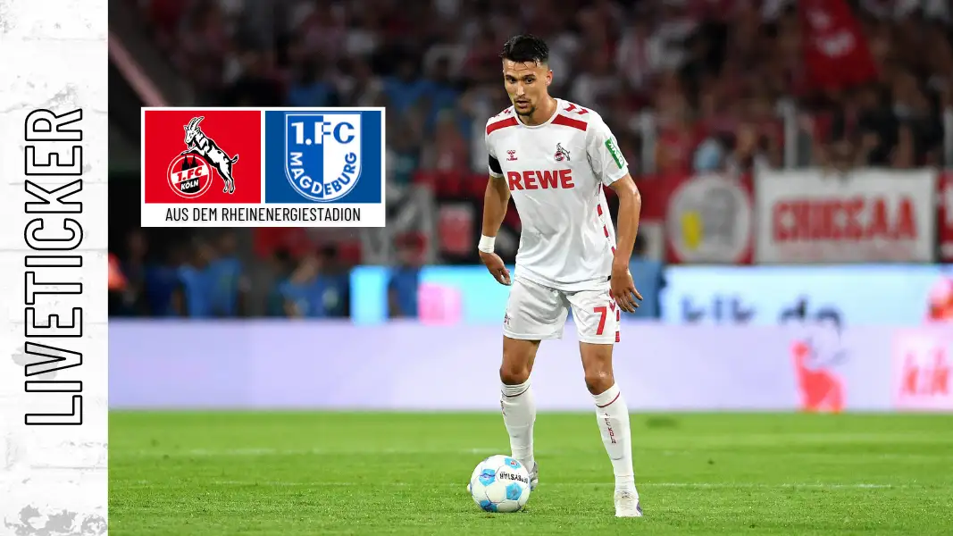 Dejan Ljubicic trifft mit dem 1. FC Köln auf Magdeburg. (Foto: IMAGO / Treese)