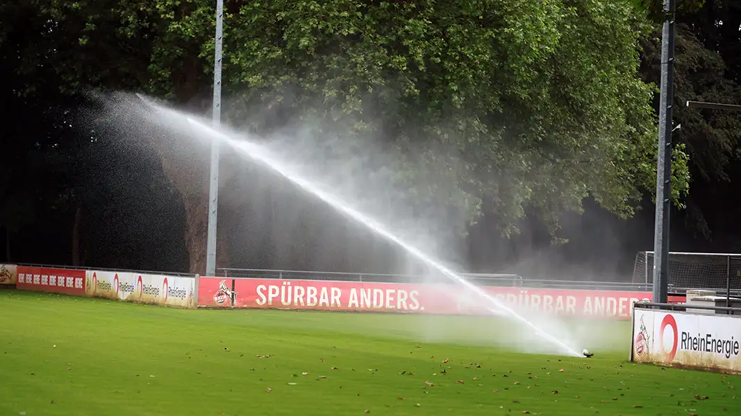 Beim 1. FC Köln sind am Samstag nicht nur die Profis im Einsatz. (Foto: Bucco)