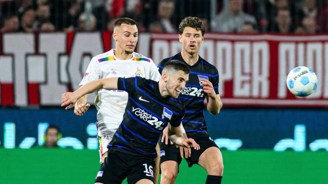 Fellhauer als Reaktion? Wegen dieser Zahlen sagte Wunschspieler ab