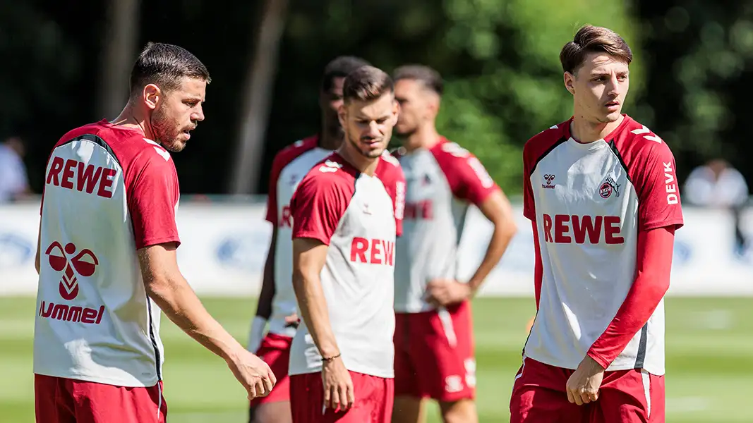 „Schart mit den Hufen“: Dann steigt El Mala ins Training ein