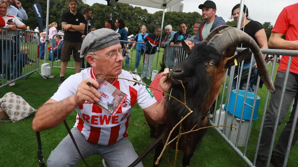 Die besten Bilder von der traditionellen Saisoneröffnung des 1. FC Köln. (Foto: Bucco)