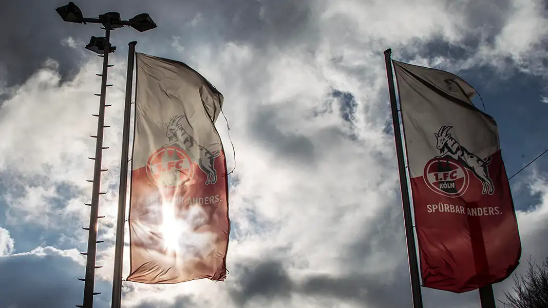 Der 1. FC Köln vor der Wahl am Samstag. (Foto: Bucco)
