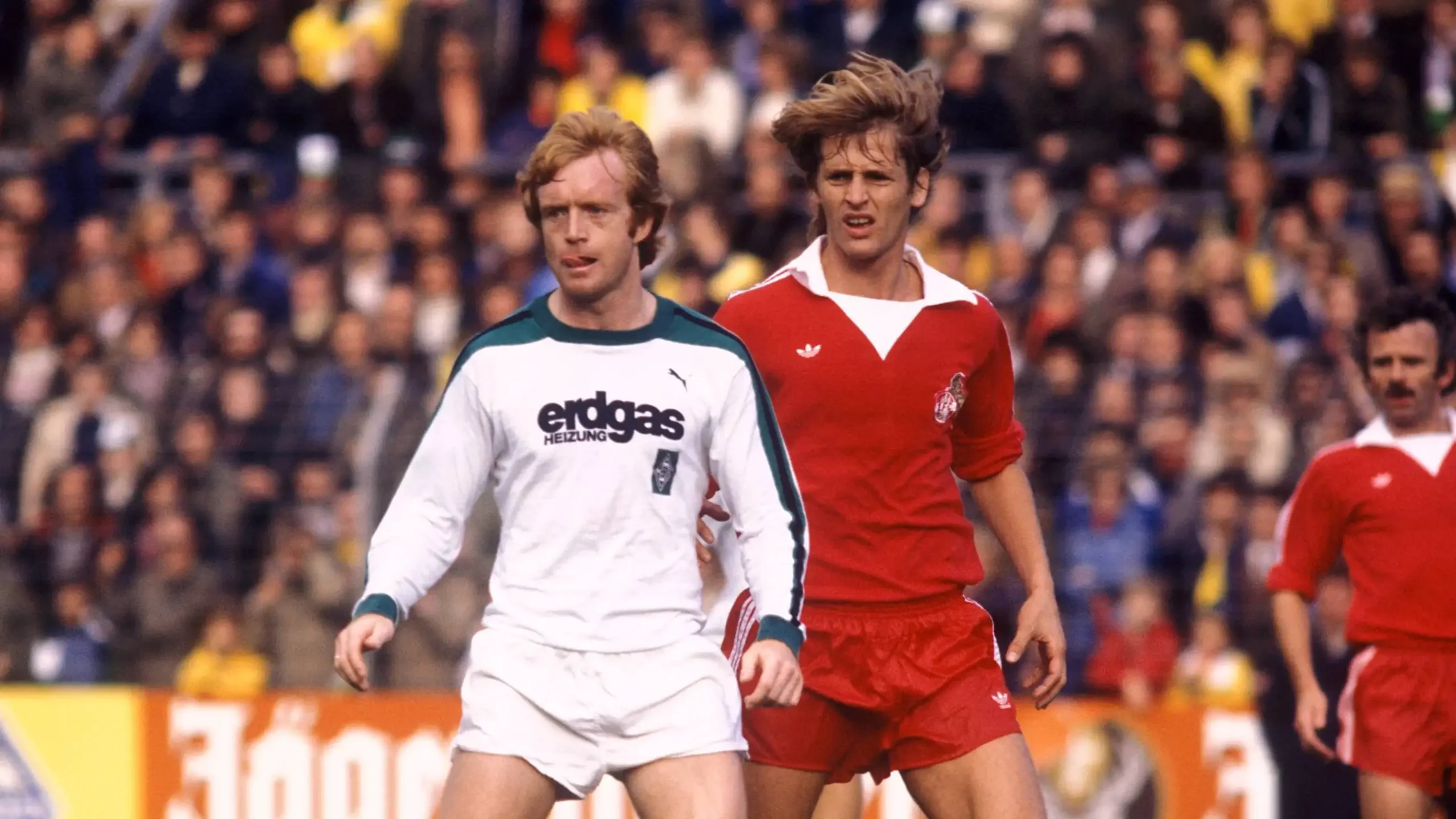 Der Kölner Herbert Neumann hinter Winfried Schäfer von Borussia Mönchengladbach.