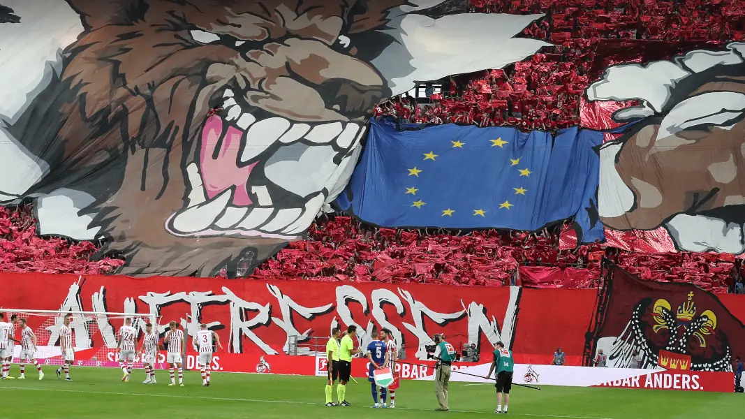 2022 spielte der 1. FC Köln mit Trainer Steffen Baumgart in der Conference League. (Foto: Bucco)