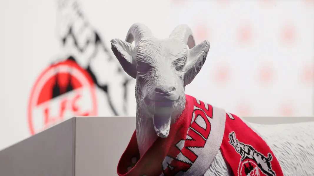 Der 1. FC Köln trifft sich im November zur Mitgliederversammlung. (Foto: Bucco)