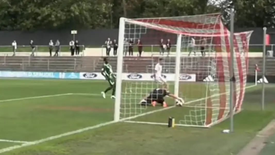 War der Ball mit dem vollen Umfang über der Linie? (Screenshot: DFB-TV YouTube)